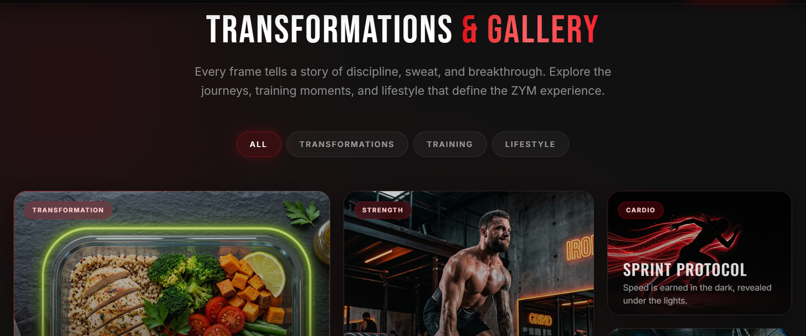 Gallery & Transformations